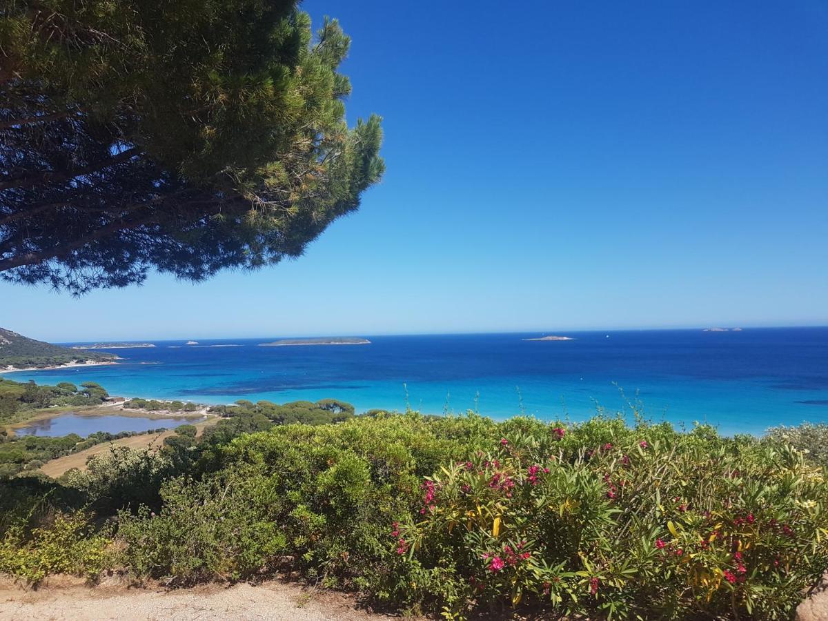 Maison Sur Palombaggia Porto-Vecchio  Ngoại thất bức ảnh