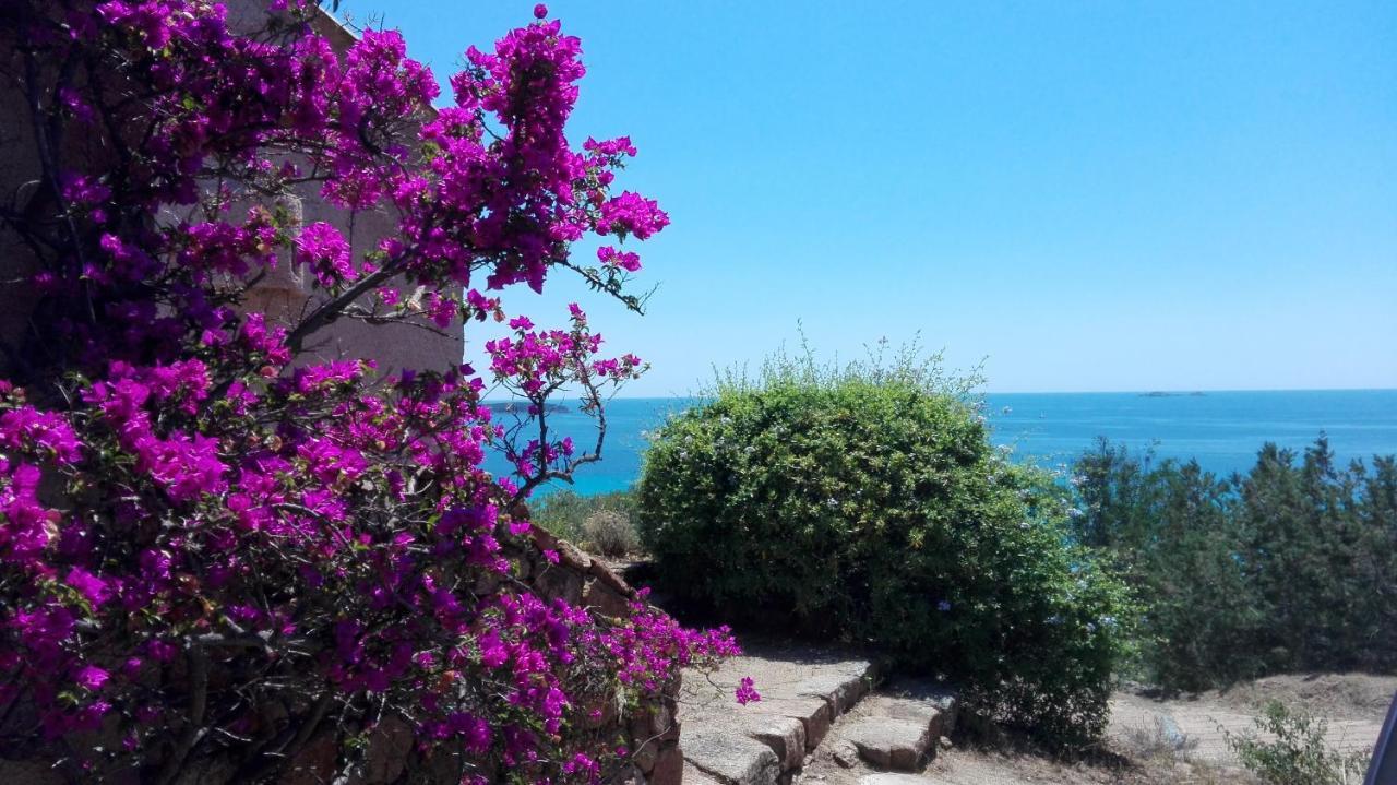 Maison Sur Palombaggia Porto-Vecchio  Ngoại thất bức ảnh